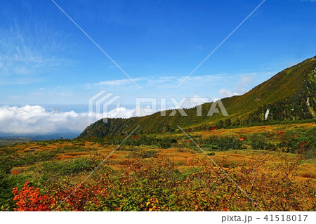 弥陀ヶ原(立山) 弥陀ヶ原(立山) 41518017