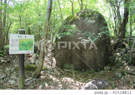 6月(初夏)の横根高原・井戸湿原(仏岩) 6月(初夏)の横根高原・井戸湿原(仏岩) 41518611