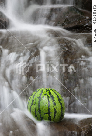 甘くて美味しいスイカ（西瓜・すいか）の写真素材 41518885