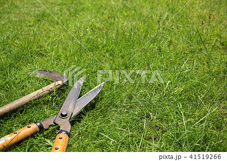 芝刈り 芝刈り 41519266