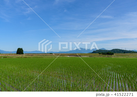 田園と青空 41522271