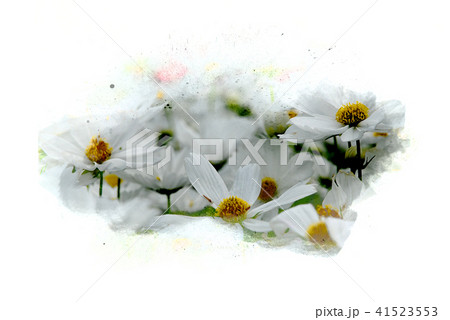 flower blooming on colorful watercolor painting 41523553