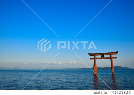 白髭神社 41525329