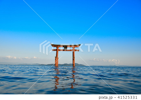 白髭神社 41525331
