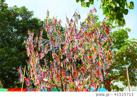 lottery tree random lottery paper and buy lottery lottery tree random lottery paper and buy lottery 41525713