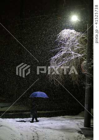 雪の夜　冬の夜 41525738