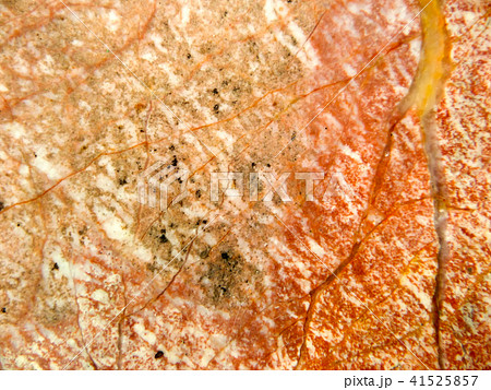 orange crack root marble granite stone luxury orange crack root marble granite stone luxury 41525857