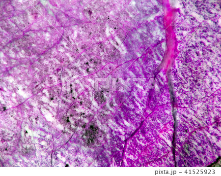 purple crack root marble granite stone luxury purple crack root marble granite stone luxury 41525923