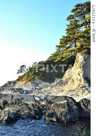 荒崎　横須賀市長井の風景 41525975