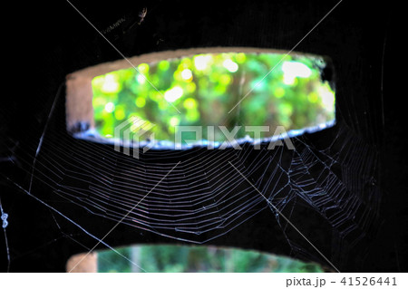 spider web hang on air in old abandon room blur spider web hang on air in old abandon room blur 41526441