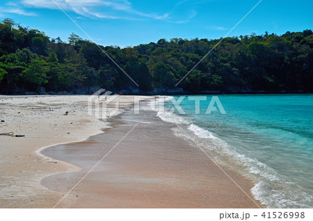 Landscape of natural sea beach and tropical jungle Landscape of natural sea beach and tropical jungle 41526998
