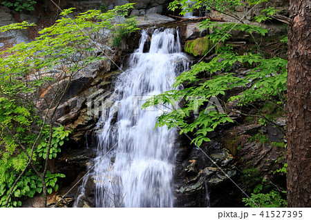 栃木県日光市　龍王峡　虹見の滝（5月） 41527395