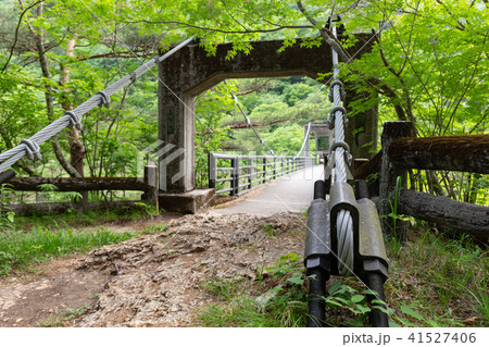 栃木県日光市　龍王峡　むささび橋（5月） 41527406