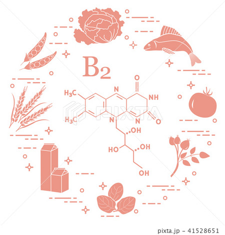 Foods rich in vitamin B2 Fish, peas and other. 41528651