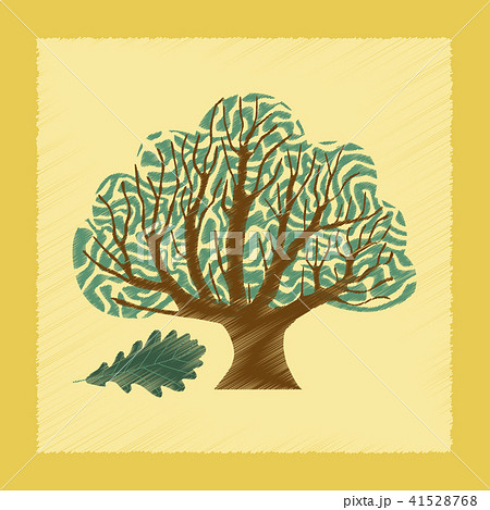 flat shading style Illustrations plant Quercus flat shading style Illustrations plant Quercus 41528768