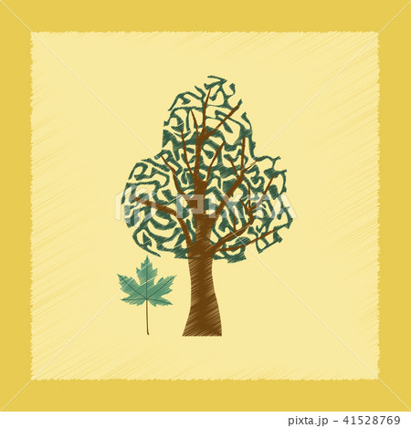 flat shading style Illustrations plant Acer 41528769