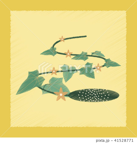 flat shading style Illustrations plant Cucumis flat shading style Illustrations plant Cucumis 41528771