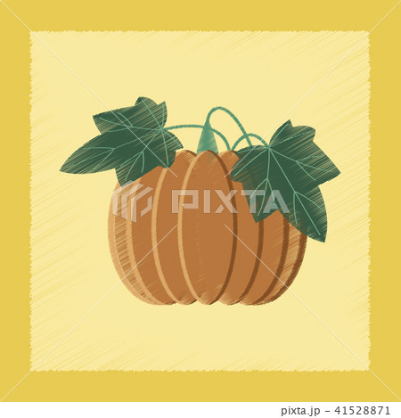 flat shading style Illustrations plant Cucurbita flat shading style Illustrations plant Cucurbita 41528871