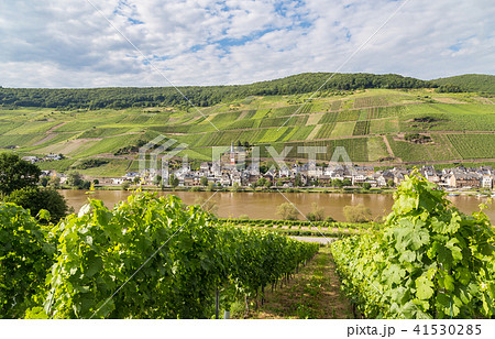 Merl on the Mosel Germany 41530285
