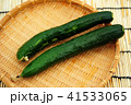 キューり 41533065