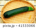 ズッキーニ 41533066