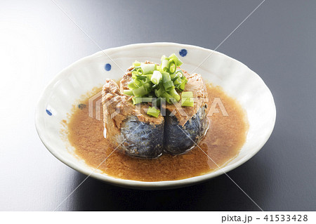 サバの味噌煮 サバの味噌煮 41533428