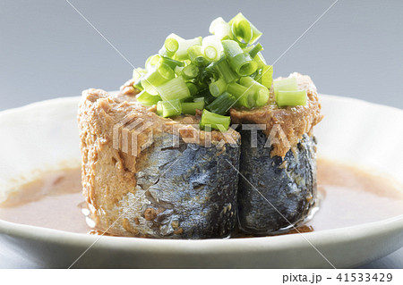 サバの味噌煮 サバの味噌煮 41533429