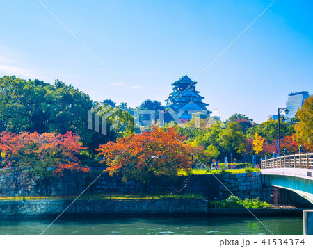 秋の大阪城 秋の大阪城 41534374