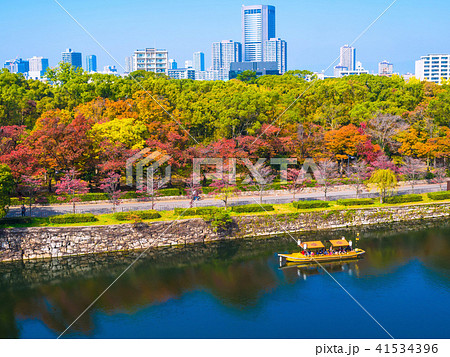 秋の大阪城公園と御座船 41534396