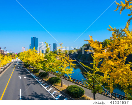 銀杏並木と超高層ビル 41534657