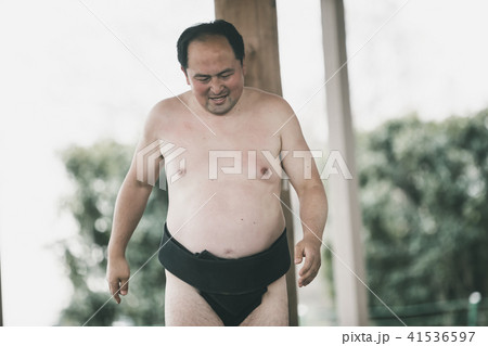 Sumo wrestling 41536597