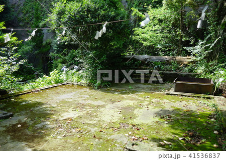 大綱金刀比羅神社 41536837