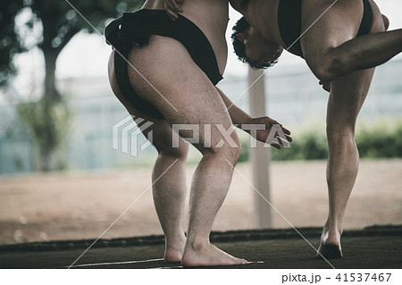 Sumo wrestling 41537467