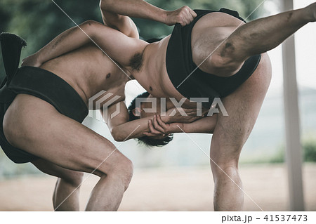 Sumo wrestling 41537473