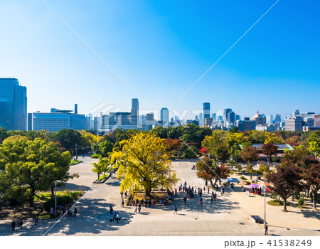 秋の大阪城公園 秋の大阪城公園 41538249