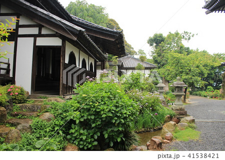 雨引観音・奥の院(客殿)とアジサイ 雨引観音・奥の院(客殿)とアジサイ 41538421