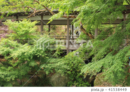 雨引観音・境内の滝 41538449