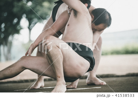 Sumo wrestling 41538533