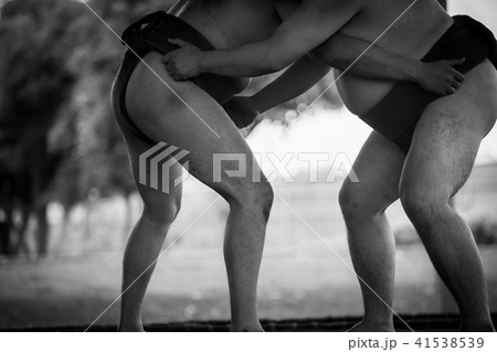 Sumo wrestling 41538539