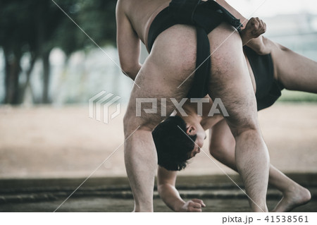 Sumo wrestling Sumo wrestling 41538561