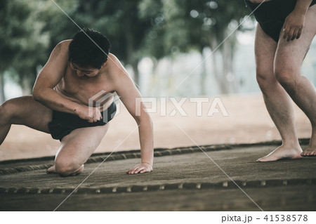 Sumo wrestling 41538578