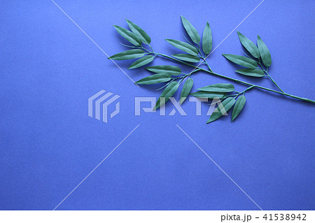 七夕飾り 41538942