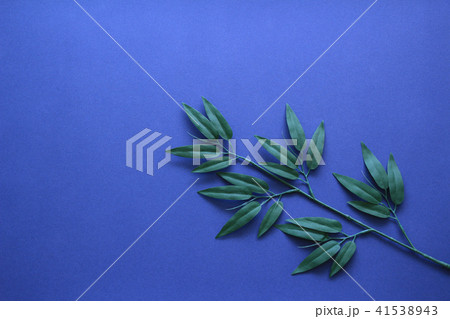 七夕飾り 41538943