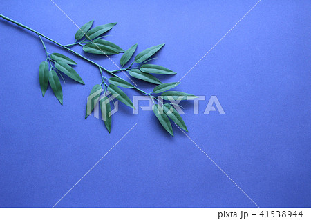 七夕飾り 41538944