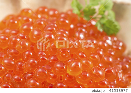 美味しいイクラの醤油漬け 美味しいイクラの醤油漬け 41538977