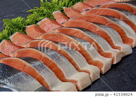 美味しい鮭の切身 41539024