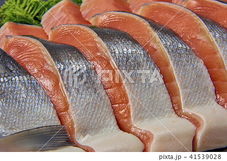美味しい鮭の切身 41539028