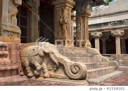 Elephants of the balustrades, Subrahmanyam shrine, Brihadisvara Temple complex, Tanjore, Tamil Nadu 41539101