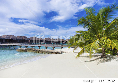 モルディブ　リゾート風景 41539532