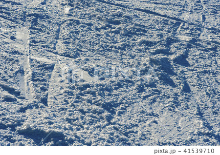 寒い冬の樹氷 寒い冬の樹氷 41539710